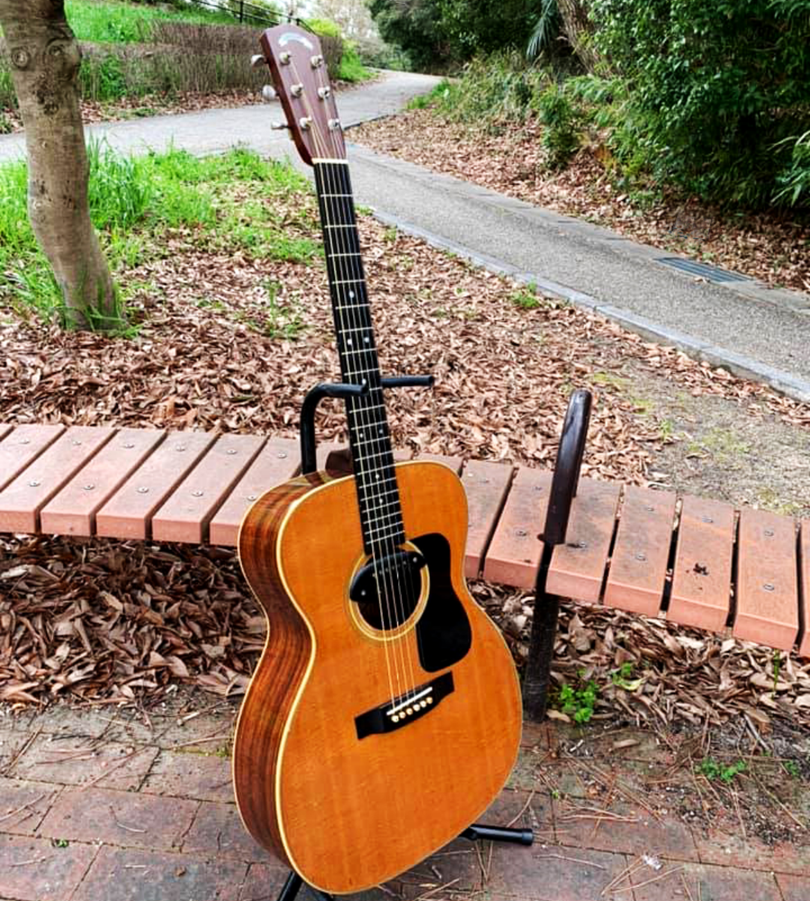 アコースティックナイト